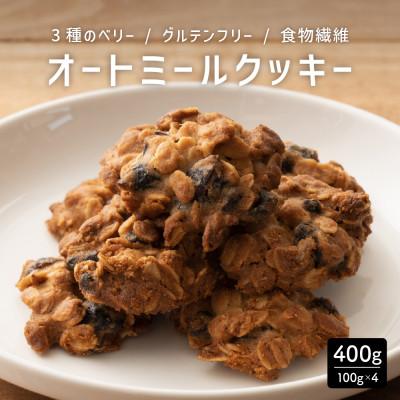 ふるさと納税 静岡市 オートミールクッキー 3種のベリー 400g(100g×4袋)