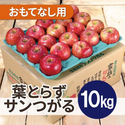 ふるさと納税 鶴田町 [26年9月から順次発送]平均糖度12度以上! 葉とらずサンつがる 約10kg おもてなし用