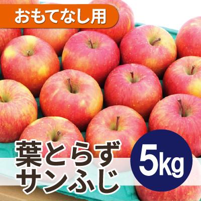 ふるさと納税 鶴田町 [2025年11月発送予定]平均糖度13度以上! 葉とらずサンふじ 約5kg おもてなし用
