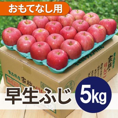 ふるさと納税 鶴田町 [26年10月から順次発送]平均糖度12度以上! 早生ふじ 約5kg おもてなし用 青森 りんご
