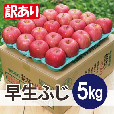 ふるさと納税 鶴田町 [26年10月から順次発送]平均糖度12度以上! 早生ふじ 約5kg 訳あり 青森 りんご