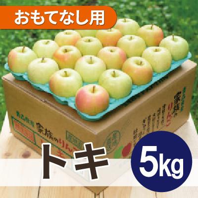ふるさと納税 鶴田町 平均糖度13度以上! トキ 約5kg おもてなし用