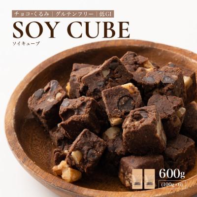 ふるさと納税 静岡市 ソイキューブ チョコ&amp;くるみ 600g(100g×6袋)
