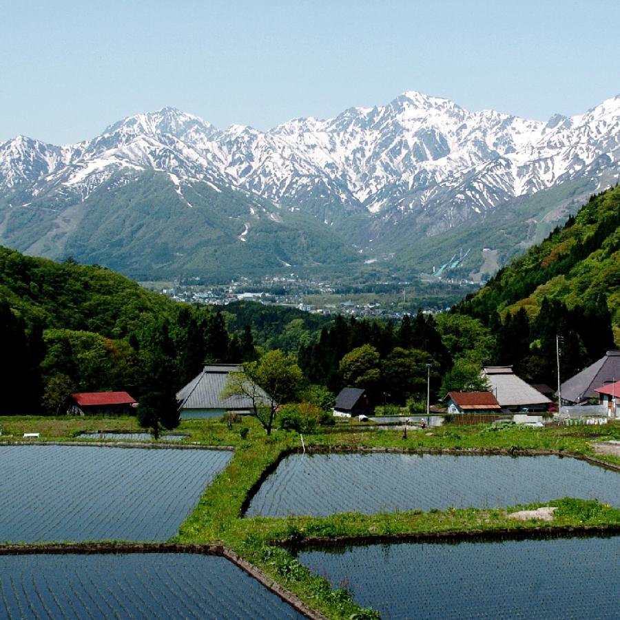 ふるさと納税 白馬村 【令和8年産】 長野県白馬村産ミルキークイーン 5kg |  | 03