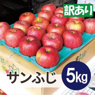 ふるさと納税 鶴田町 [25年11月より順次発送]平均糖度13度以上! サンふじ 約5kg 訳あり