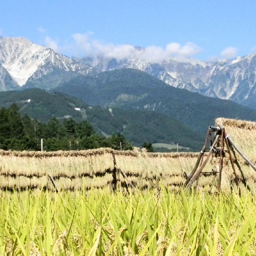 ふるさと納税 白馬村 【令和8年産】 長野県白馬村産ミルキークイーン【玄米】 5kg |  | 02