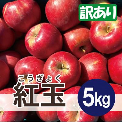ふるさと納税 鶴田町 紅玉 約5kg 訳あり