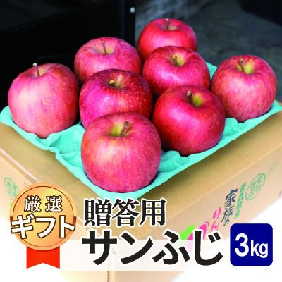 ふるさと納税 鶴田町 [25年11月出荷予定]平均糖度13度以上! サンふじ 約3kg 贈答用