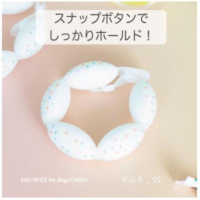 ふるさと納税 神戸市 SUO 18°ICE for dogs CANDY SSサイズ(マルチ)