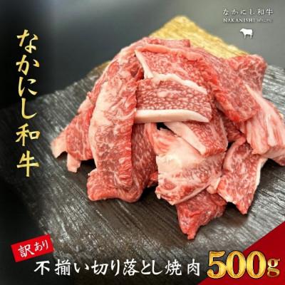 ふるさと納税 小林市 [宮崎県西ノ原牧場直送]なかにし和牛訳あり不揃い切り落とし焼肉 500g(E110)(小林市)