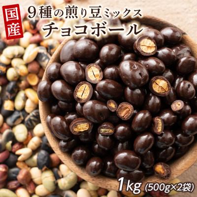 ふるさと納税 静岡市 9種の煎り豆ミックス チョコボール 1kg(500g×2袋)