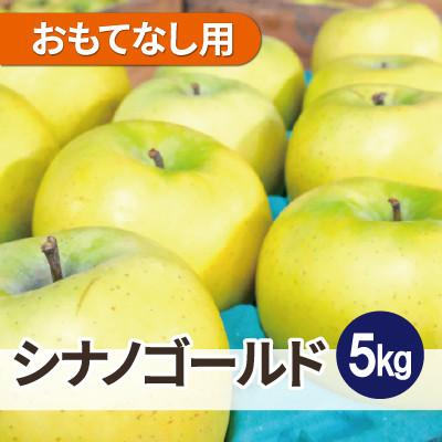 ふるさと納税 鶴田町 [25年12月出荷予定]平均糖度13度以上! シナノゴールド 約5kg おもてなし用