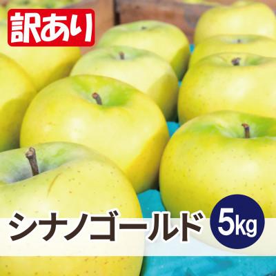 ふるさと納税 鶴田町 [25年12月出荷予定]平均糖度13度以上! シナノゴールド 約5kg 訳あり