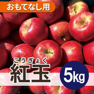 ふるさと納税 鶴田町 [26年4月出荷予定]紅玉 約5kg おもてなし用 CA貯蔵 クール便