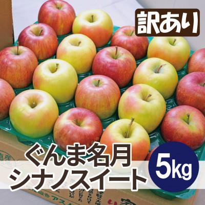 ふるさと納税 鶴田町 [25年11月出荷予定]糖度13度以上保証! ぐんま名月×シナノスイート 約5kg 訳あり