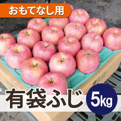 ふるさと納税 鶴田町 [26年4月出荷予定]平均糖度13度以上! 有袋ふじ 約5kg おもてなし用 CA貯蔵 クール便