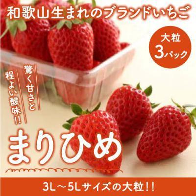 ふるさと納税 御坊市 [2026年1月より順次発送]和歌山生まれのいちご[まりひめ]大粒3パック