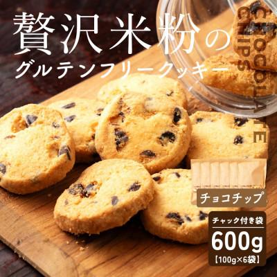 ふるさと納税 静岡市 贅沢米粉のクッキー チョコチップ 600g(100g×6袋)