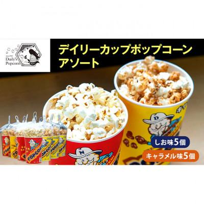 ふるさと納税 伊丹市 デイリーカップポップコーンアソート しお味5個・キャラメル味5個合計10個