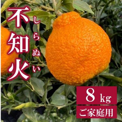 ふるさと納税 伊予市 [先行予約 3月発送]数量限定 家庭用 不知火(しらぬい) 約8kg|
