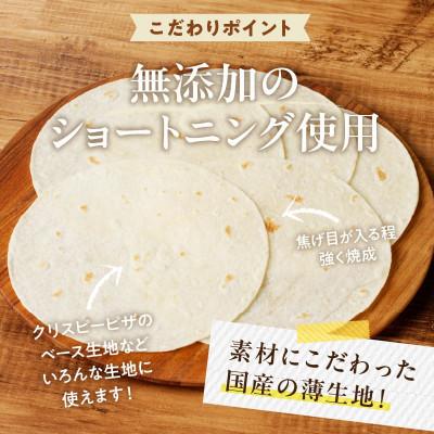 ふるさと納税 生駒市 無添加トルティヤお試し用 20枚(10枚×2袋)