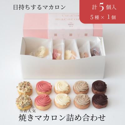 ふるさと納税 塩尻市 Cui-Cuit 焼きマカロン 5種アソート