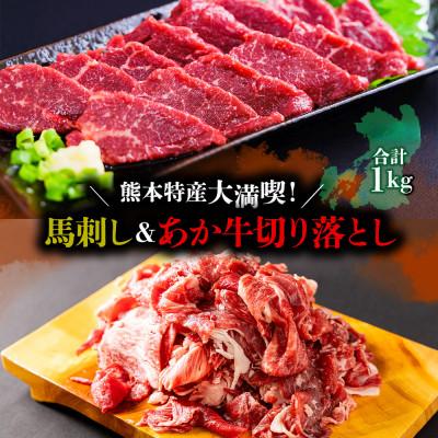 ふるさと納税 阿蘇市 熊本特産大満喫! 馬刺し&amp;あか牛切り落としセット(馬刺し400g&amp;切り落とし600g)
