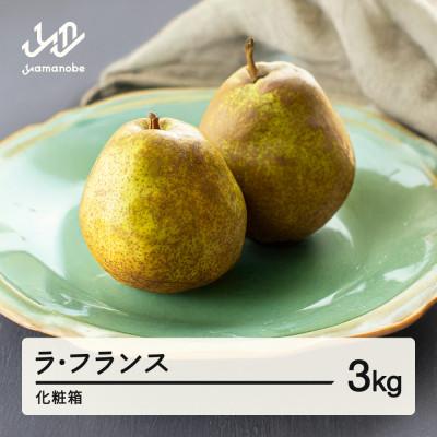 ふるさと納税 山辺町 [先行予約]ラ・フランス 化粧箱 3kg 令和7年産 2025年産 山形県産 ns-laxxx3