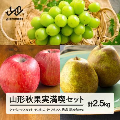 ふるさと納税 山辺町 [先行予約]2026年 山形秋果実満喫セット シャインマスカット サンふじ ラ・フランス 2.5kg