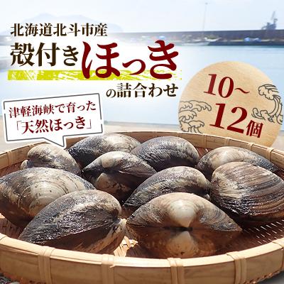 ふるさと納税 北斗市 北斗市産 殻付きほっきの詰合わせ