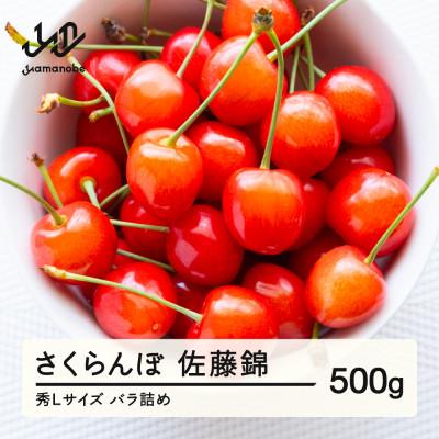 ふるさと納税 山辺町 [先行予約]さくらんぼ 佐藤錦 秀Lサイズ プレゼント ギフト バラ詰め 500g