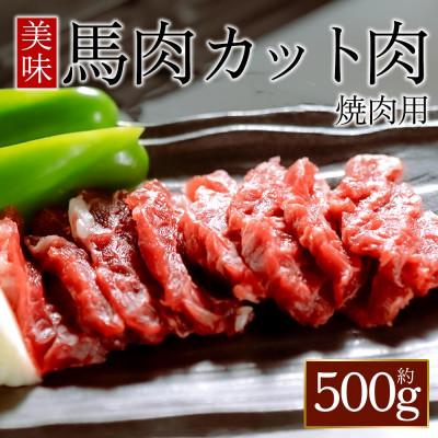 ふるさと納税 阿蘇市 [桜屋]馬肉焼肉用500gカット済(阿蘇市)