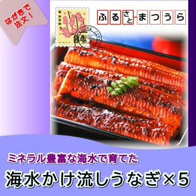 ふるさと納税 松浦市 お届けオーダーメイド!海水かけ流しうなぎ 3尾×5回