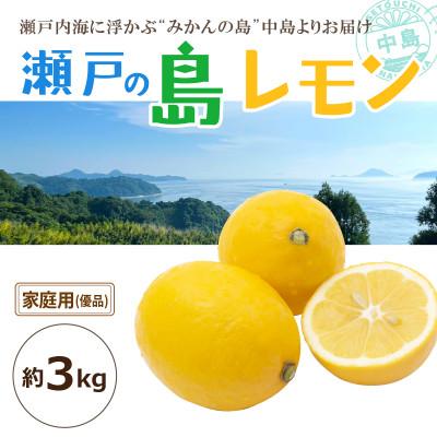 ふるさと納税 松山市 [2026年3月中旬頃から発送予定]瀬戸内海の島レモン(家庭用・優品)3kg
