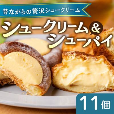ふるさと納税 飛騨市 [期間限定]シュークリーム&amp;シューパイ 11個セット デザート スイーツ 洋菓子