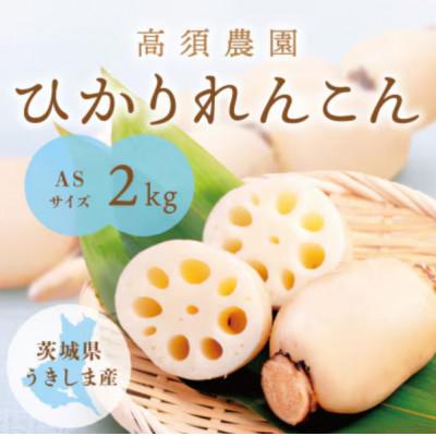 ふるさと納税 稲敷市 ひかりれんこん 2kg ASサイズ 産地直送 浮島産れんこん | 