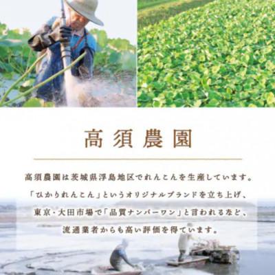 ふるさと納税 稲敷市 ひかりれんこん 2kg ASサイズ 産地直送 浮島産れんこん |  | 02