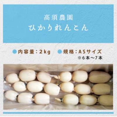ふるさと納税 稲敷市 ひかりれんこん 2kg ASサイズ 産地直送 浮島産れんこん |  | 03