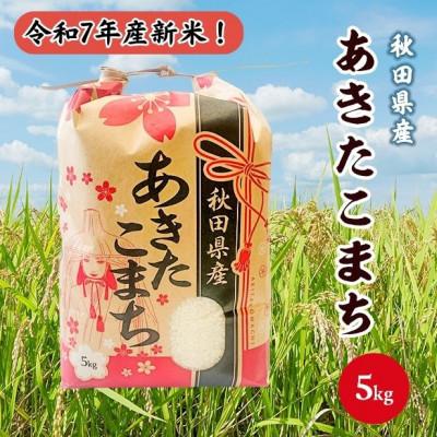 ふるさと納税 潟上市 令和7年産 秋田県産あきたこまち 白米 5kg