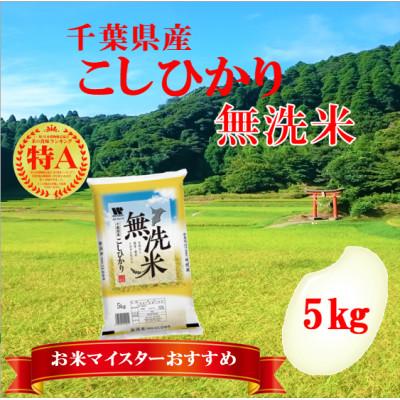 ふるさと納税 大網白里市 【令和6年産】【特A評価】千葉県産
