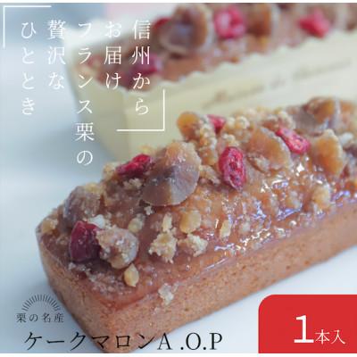 ふるさと納税 塩尻市 フランス・アルデッシュ栗の豊かな香り。信州から贈る、贅沢ケークマロン。