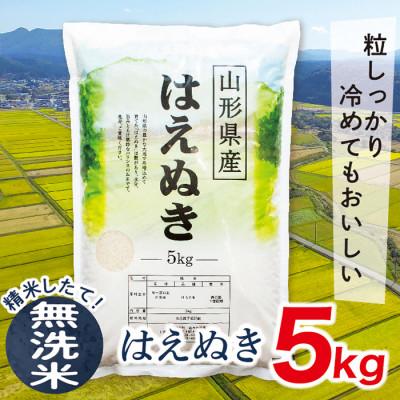 ふるさと納税 最上町 [令和7年産新米受付]山形県産はえぬき5kg(無洗米)