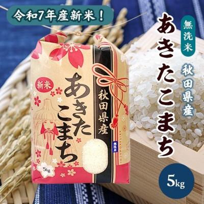 ふるさと納税 潟上市 令和7年産 秋田県産 あきたこまち 無洗米 5kg