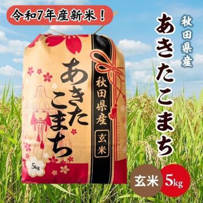 ふるさと納税 潟上市 令和7年産 秋田県産あきたこまち 5kg(玄米)