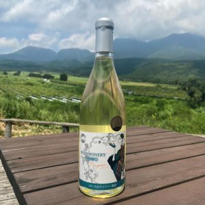 ふるさと納税 竹田市 久住ワイナリーナイアガラVIRGO 720ml×1本