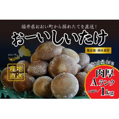 ふるさと納税 おおい町 おーいしいたけ 約1kg(1箱)水分量85%のこだわり無添加福井県おおい町産の生しいたけ