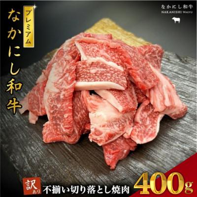 ふるさと納税 小林市 [宮崎県西ノ原牧場直送]なかにしプレミアム和牛訳あり切り落とし焼肉 400g(E113)(小林市)