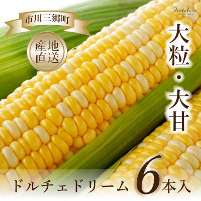 ふるさと納税 市川三郷町 [市川三郷町産]Inakakara ドルチェドリーム 6本入り