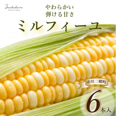 ふるさと納税 市川三郷町 [市川三郷町産]Inakakara ミルフィーユ 6本入り