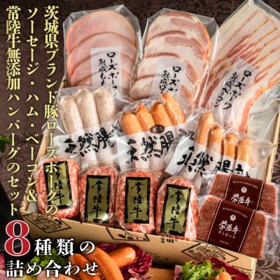 ふるさと納税 水戸市 ハム ソーセージ詰め合わせ 常陸牛無添加ハンバーグ セット お楽しみグルメギフト8種 肉のイイジマ